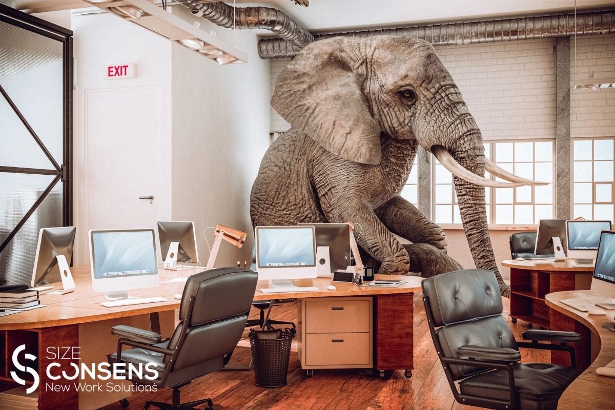 Wenn keiner den Elefant im Raum anspricht